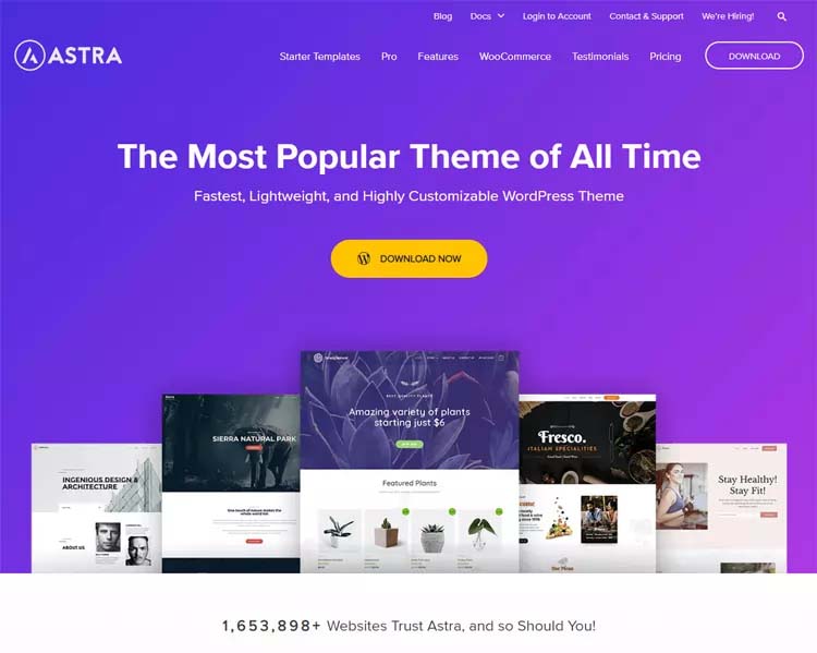 Astra WordPress Theme