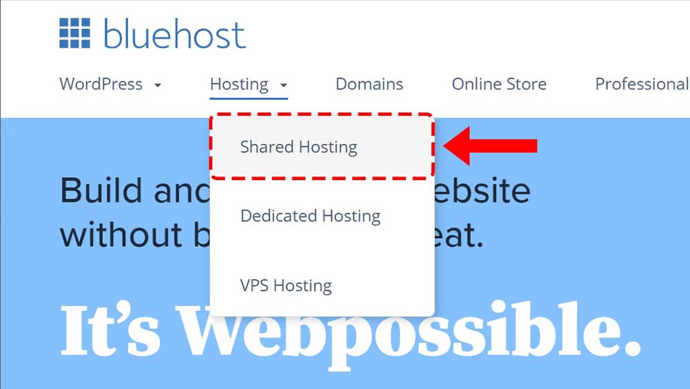 Bluehost top navigation shared hosting