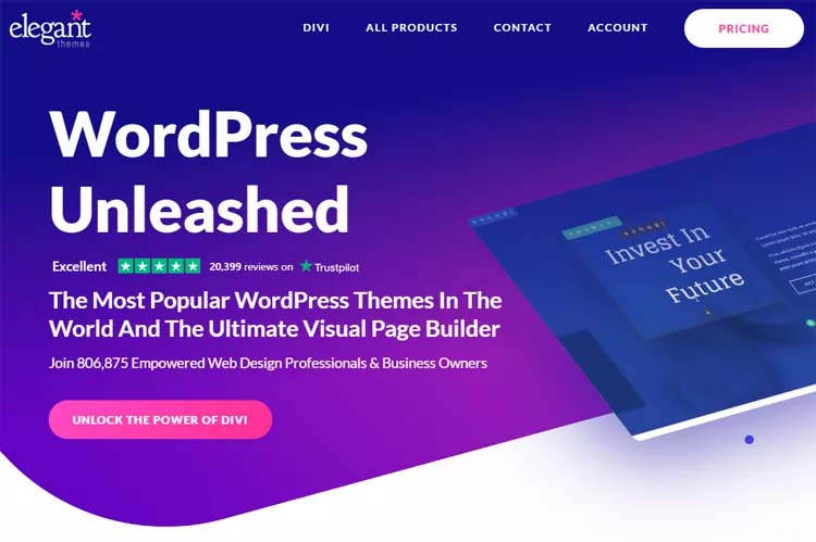 Divi WordPress Theme Page Builder