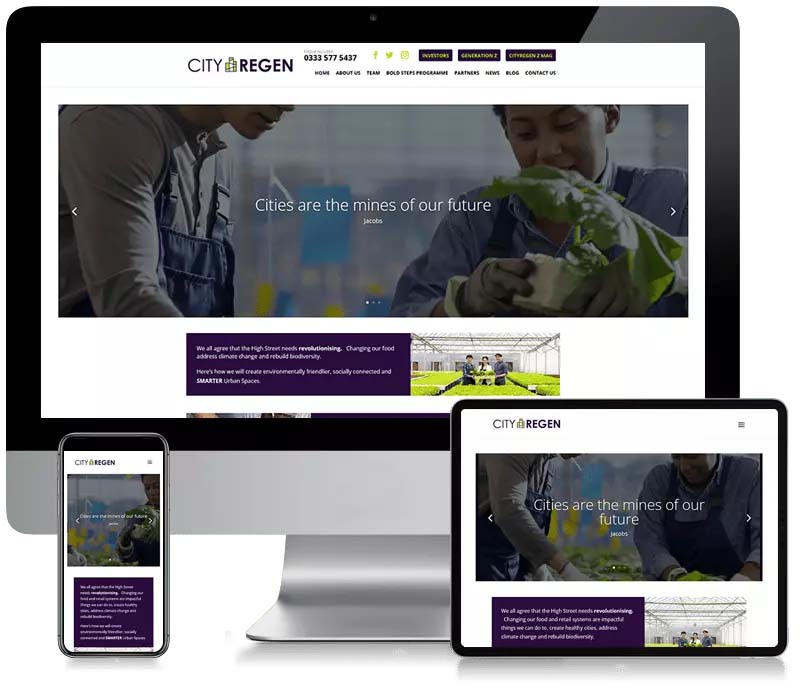 City Regen Z - Custom Website Design