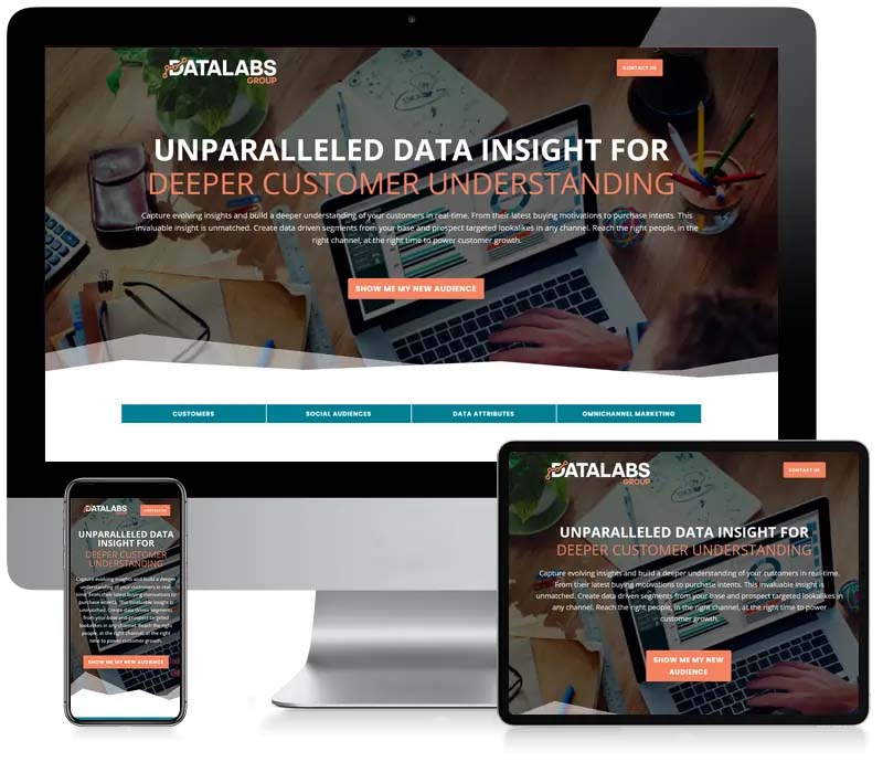 Datalabs Group - Custom CMS Web Design