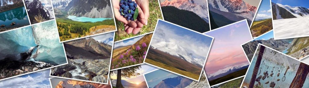 WebP to JPG to Converter