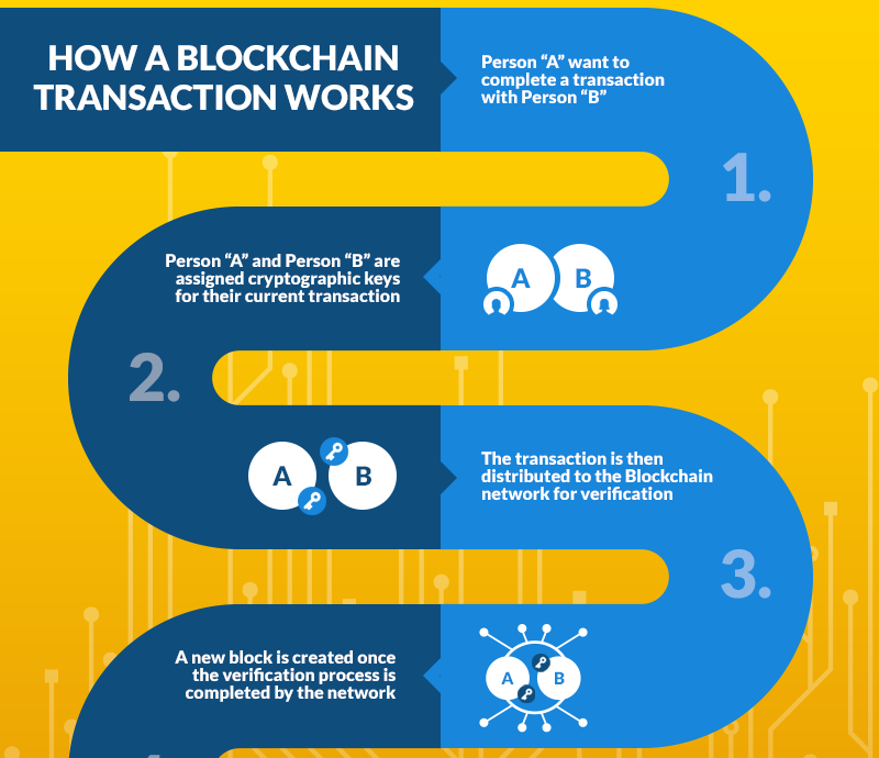 portfolio_infographic_v5_content